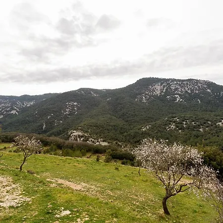 Casa Rural La Vinyeta Ballestar Zewnętrze zdjęcie
