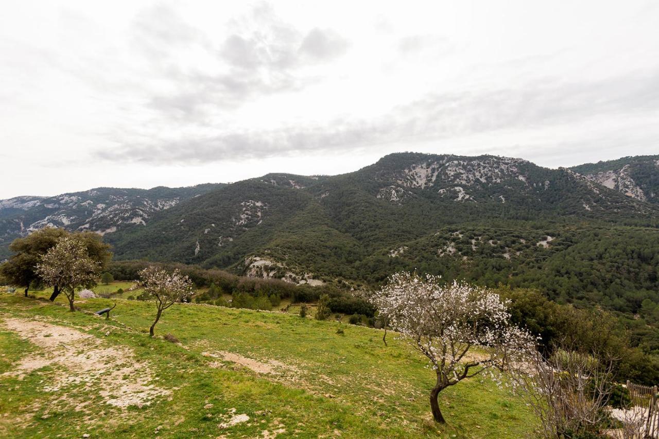Holiday home La Vinyeta *